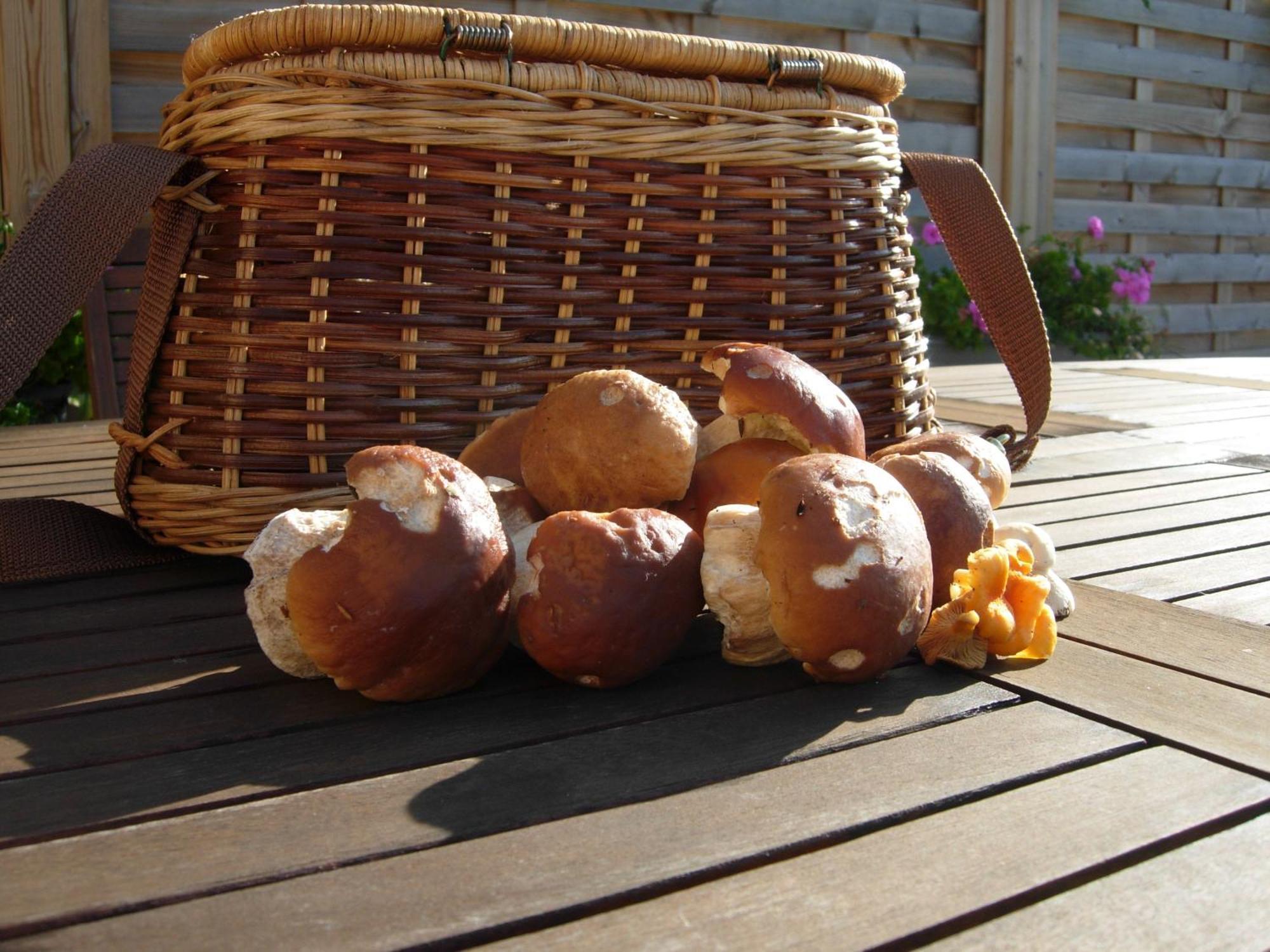 Les Grands Pres Bed & Breakfast Geney Dış mekan fotoğraf